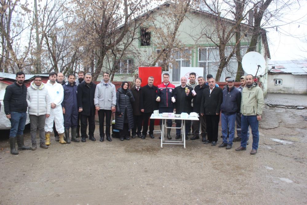 Muş'ta  "Analar Aşılansın Buzağılar Yaşasın" aşılama projesi