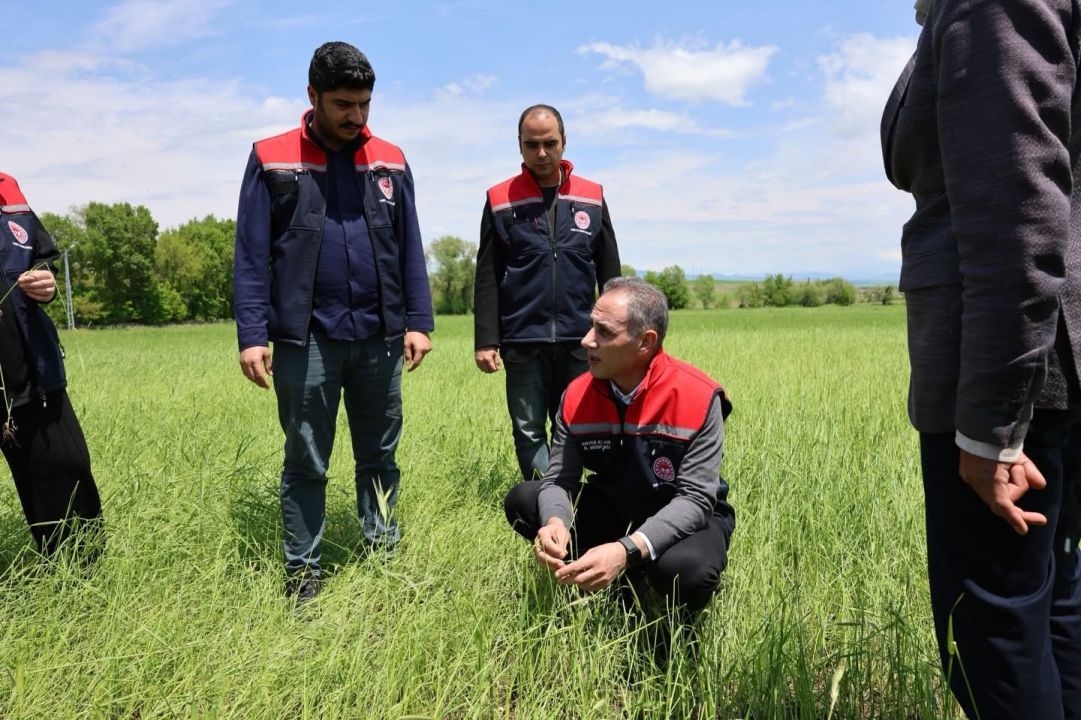 Akyaka’da dolu yağışı tarım arazilerini vurdu: Hasar tespit çalışmaları sürüyor