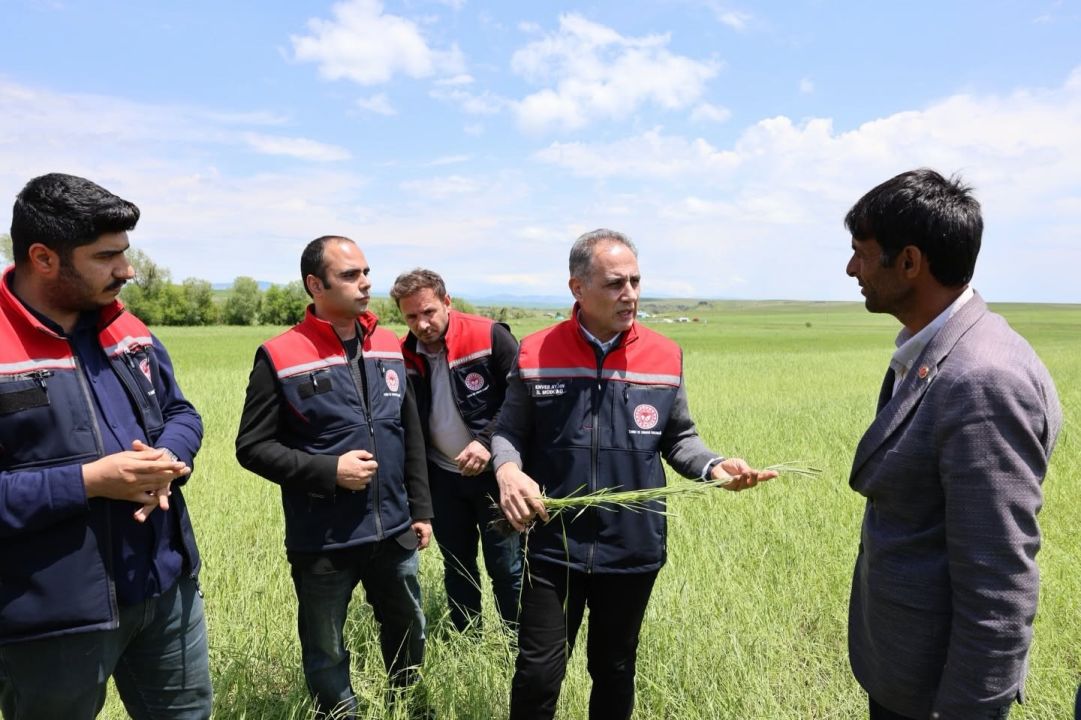 Akyaka’da dolu yağışı tarım arazilerini vurdu: Hasar tespit çalışmaları sürüyor