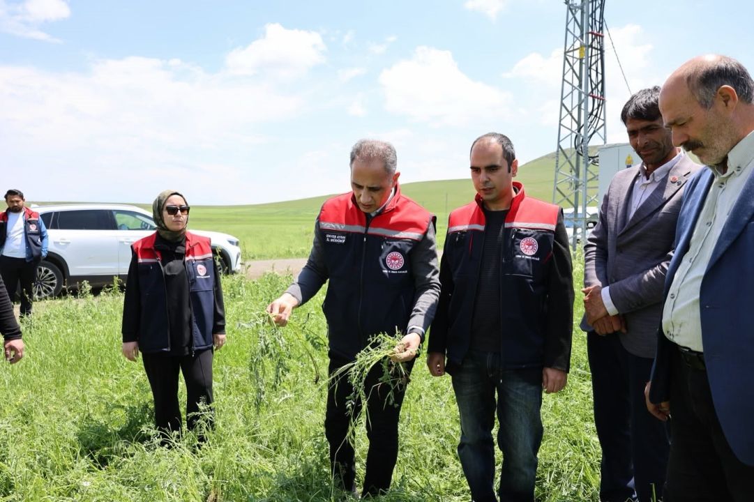 Akyaka’da dolu yağışı tarım arazilerini vurdu: Hasar tespit çalışmaları sürüyor
