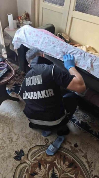 Bingöl merkezli dolandırıcılık operasyonu: 2 tutuklama