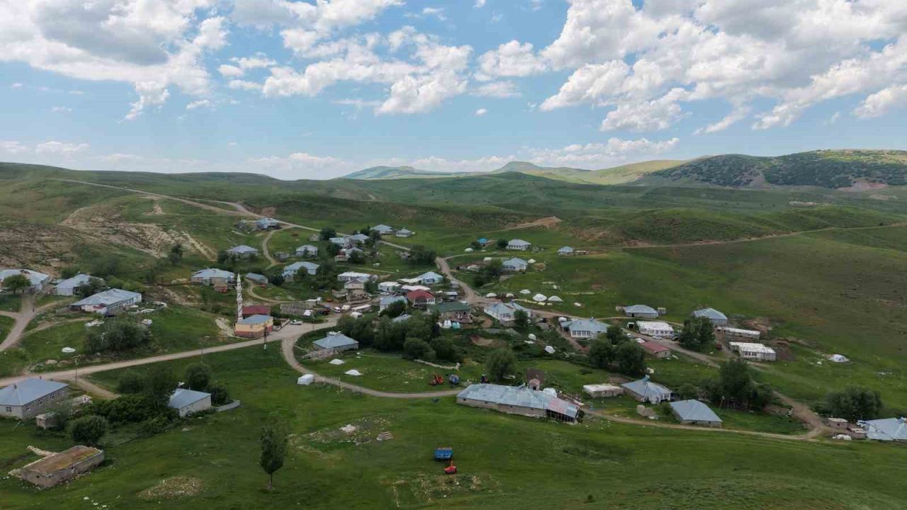Kaybolan çoban için arama çalışmaları aralıksız sürüyor