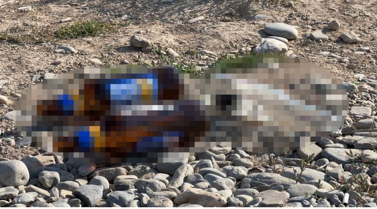 Hakkari'nin Yüksekova ilçesinde pes dedirten manzara: Mezarlığın yanı başındaki alkol şişeleri tepki çekti