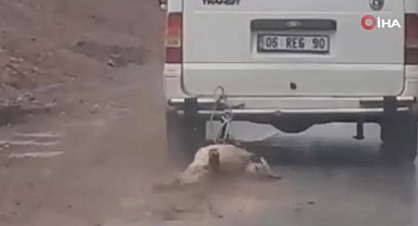 Köpeği kilometrelerce sürükledi...