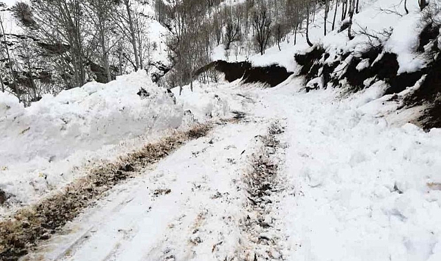 Batman-Muş dağ köyleri bağlantı yolu ulaşıma açıldı