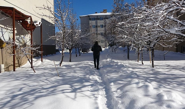 Bitlis’te 15 köy yolu kardan dolayı kapalı