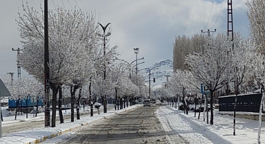 Van'da kar yağışı kartpostallık görüntüler oluşturdu