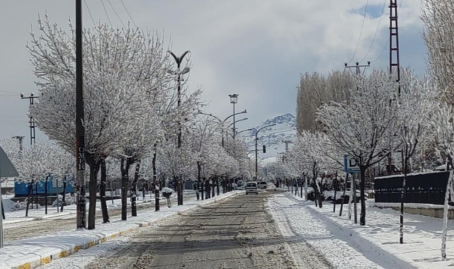 Van'da kar yağışı kartpostallık görüntüler oluşturdu