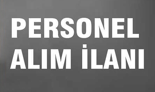 Aralarında VAN'ın olduğu 7 Şehirde SYDV Personel Alımı Başladı! KPSS'li ve KPSS'siz Pozisyonlar Mevcut!