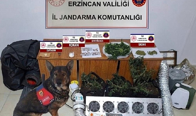 Erzincan'da adeta mühimmat ele geçirildi: Bin 96 adet kaleşnikof mermisi ve 3 adet şarjör ele geçirildi