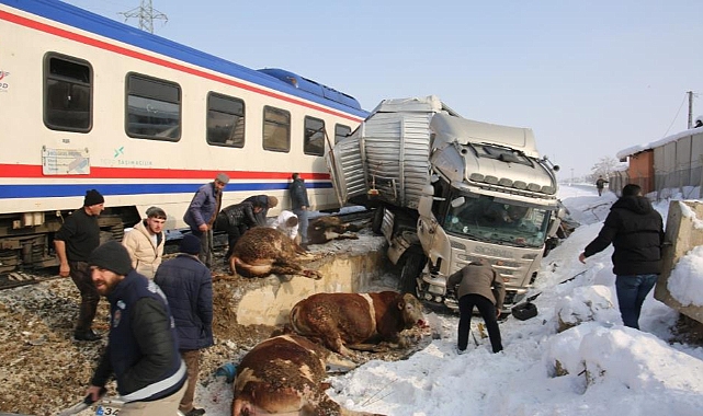 Muş'taki korkunç kazada ölü ve yaralı sayısı belli oldu: 2 ölü 2 yaralı