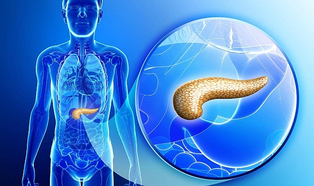 Pankreas Nedir? Vücudun Gizemli Çalışanı