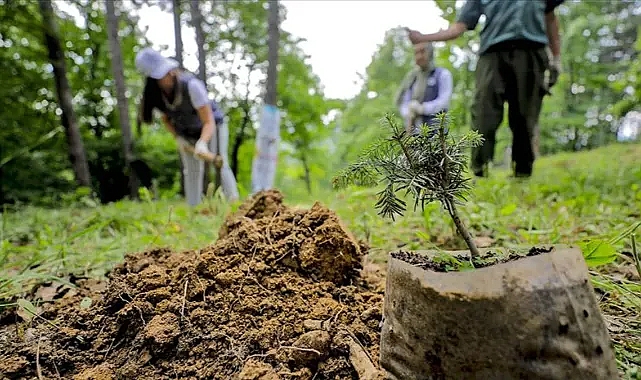 Ağrı Orman İşletme Müdürlüğü Toprak İşleme Ve Arazi Bakım Hizmeti Alacaktır