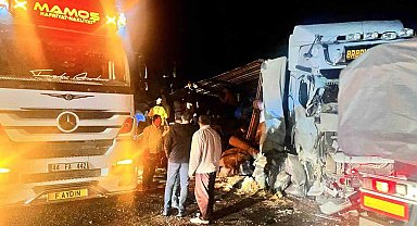 Malatya'da yem yüklü tır devrildi