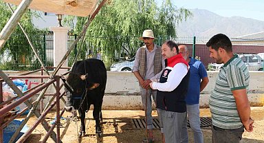 Denetimler sürüyor Erzincan Hayvan Pazarında