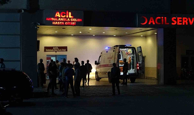 Malatya'da annesini ve kardeşini bıçakla yaraladı
