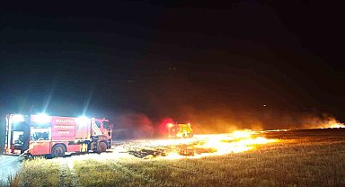 Çıkan Yangınlar korkuttu Malatya'da