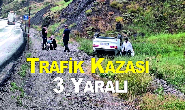 Trafik Kazası 3 Yaralı