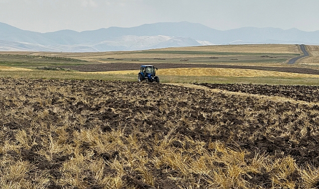 Ağrı'da hasat bitti, çiftçi tarlalarını sürmeye başladı