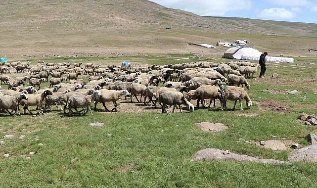 Erzurum İl Tarım Ve Orman Müdürlüğü: Tarımda yeni yaklaşımlar anlatıldı