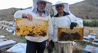 Hobi olarak başladı 7 ton bal üretti