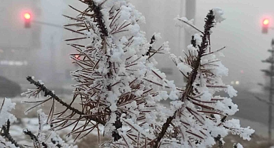 Ardahan’da soğuk hava ve sis hayatı olumsuz etkiliyor