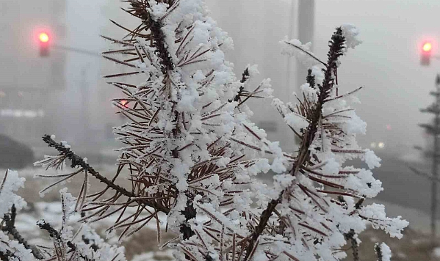 Ardahan’da soğuk hava ve sis hayatı olumsuz etkiliyor