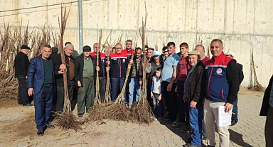 Aydın’da üreticilere kestane fidanı dağıtılıyor