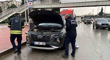Motora saklanan kedi 13 kilometre yol gitti