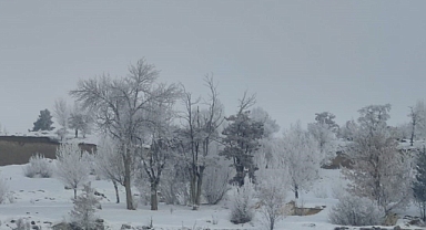 Erzurum buz kesti