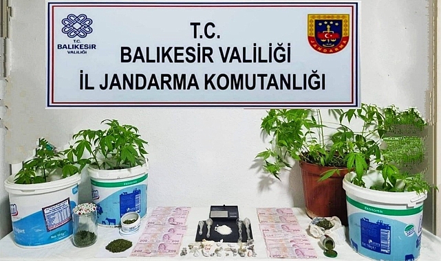 Jandarma’dan 6 ilçede uyuşturucu operasyonu