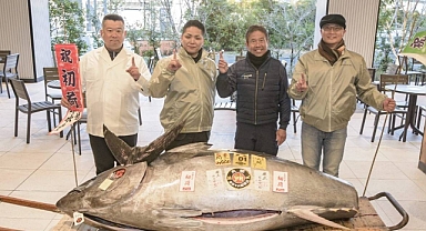Japonya'daki yeni yıl mezatı: 276 kiloluk mavi yüzgeçli orkinos 1,3 milyon dolara satıldı