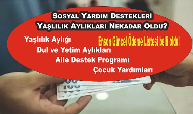 2025 Yılında Güncellenen Sosyal Yardım Destekleri ve Yaşlılık Aylıkları Nekadar Oldu? İşte Detaylar