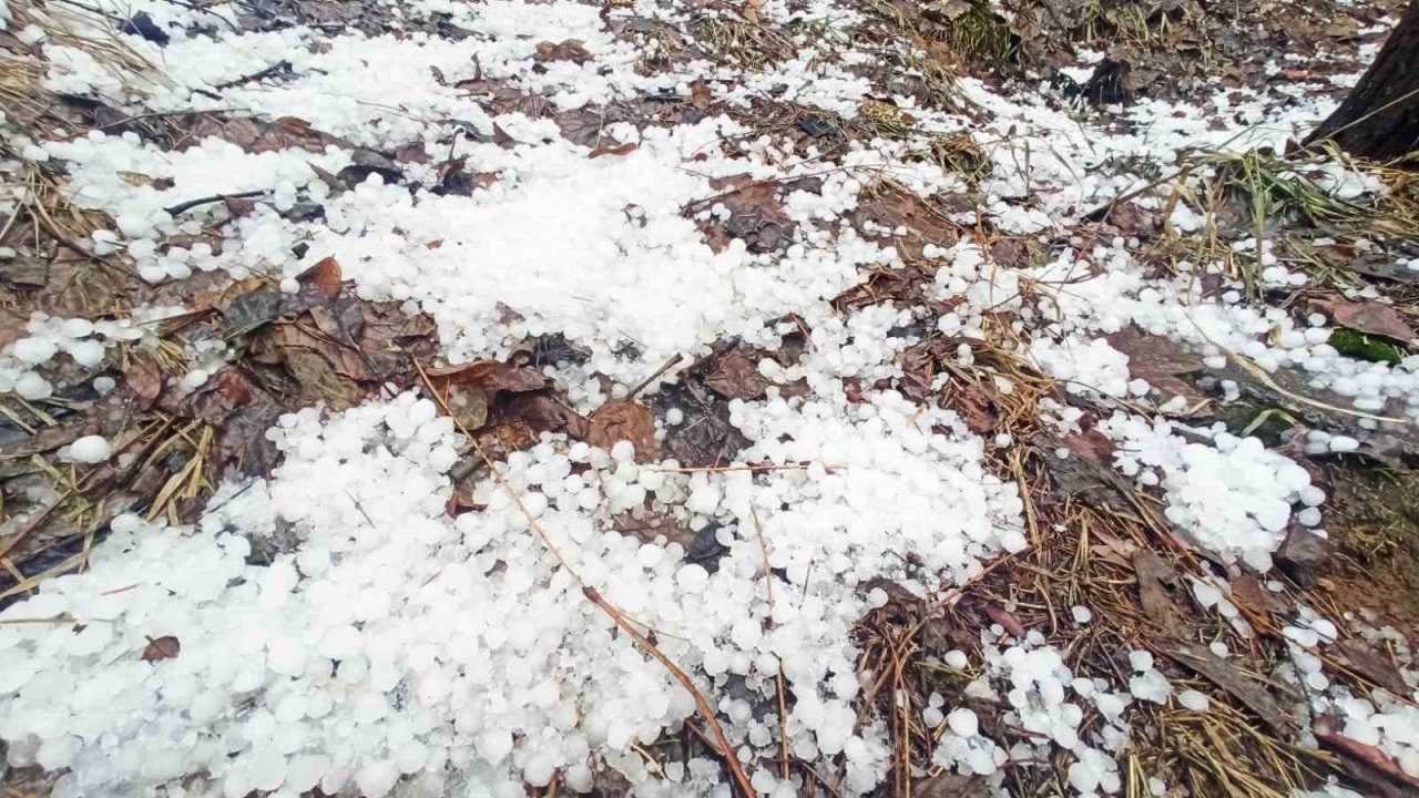 Bitlis’te dolu  kenti beyaza bürüdü