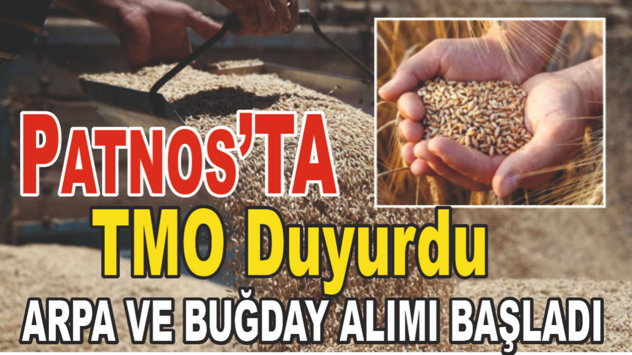 TMO Duyurdu Patnos Arpa ve Buğday Alımına Başlıyor