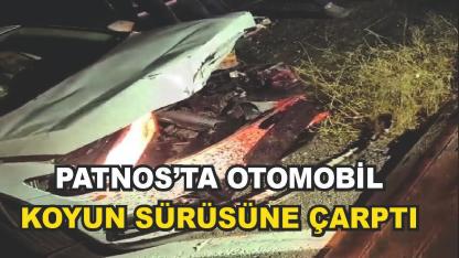 Patnos'ta Otomobil Koyun Sürüsüne Daldı