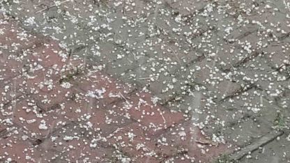 Bingöl’de dolu yağışı etkili oldu