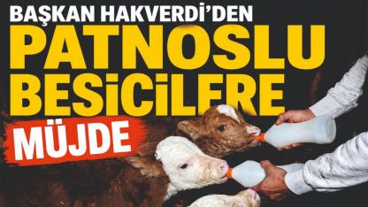 Başkan Hakverdi’den Patnoslu Besicilere Müjde