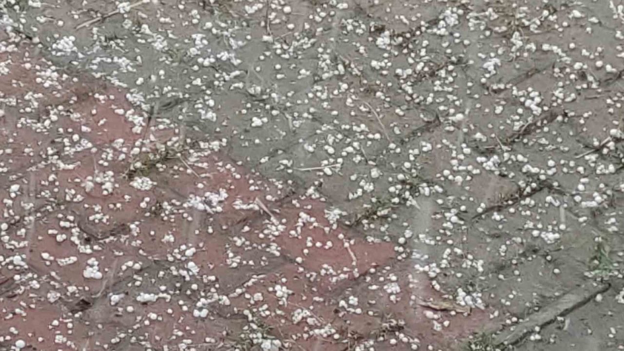 Bingöl’de dolu yağışı etkili oldu