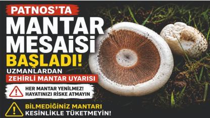 Patnos’ta Mantar Mesaisi Başladı Uzmanlardan Zehirli Mantar Uyarısı