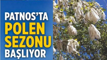 Patnos’ta Polen Sezonu Başlıyor