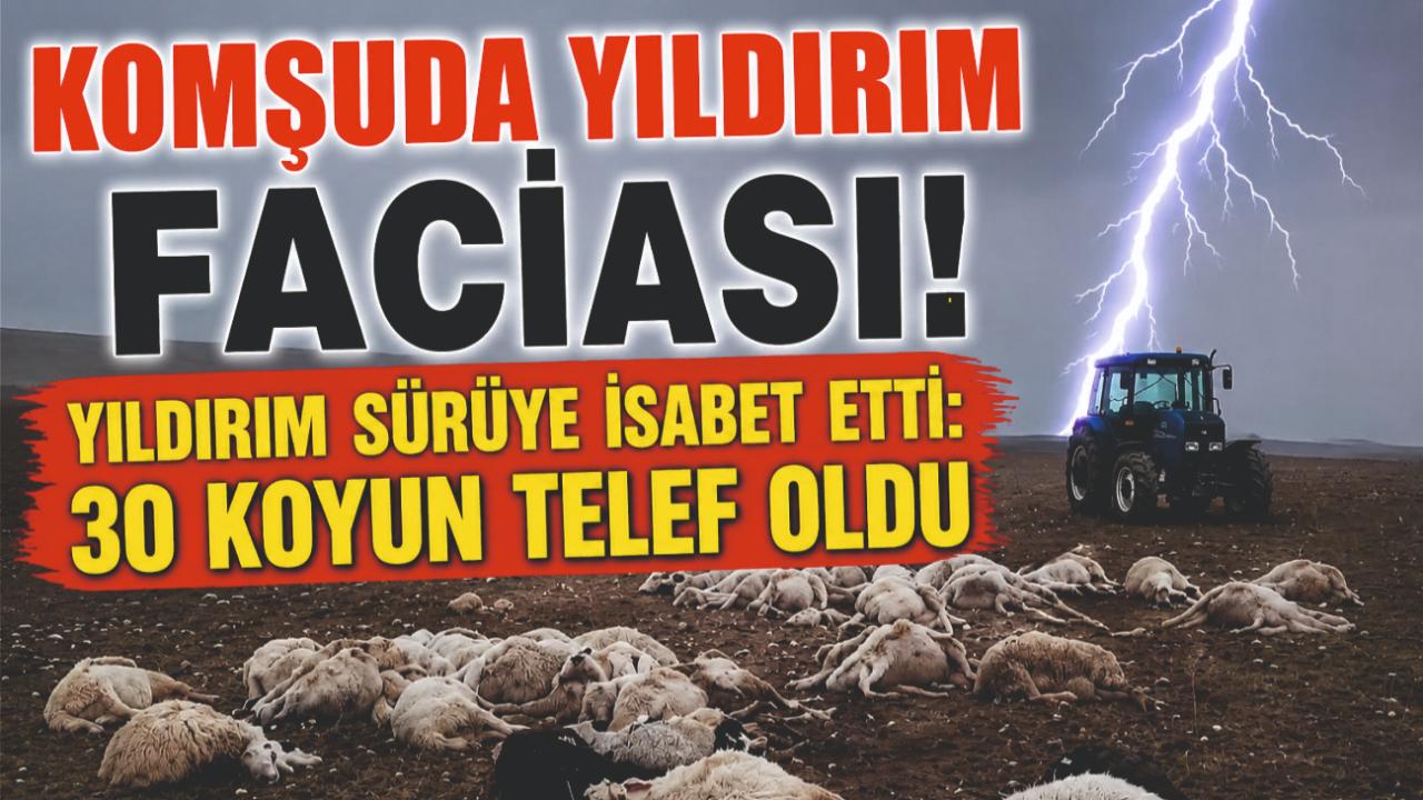 Yıldırım Sürüye İsabet Etti: 30 Koyun Telef Oldu