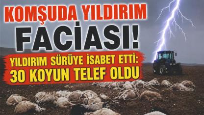 Yıldırım Sürüye İsabet Etti: 30 Koyun Telef Oldu
