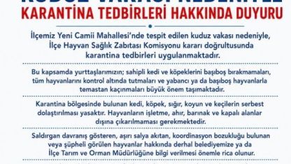 Van'da kuduz vakası; 6 mahallede karantina uygulaması başladı
