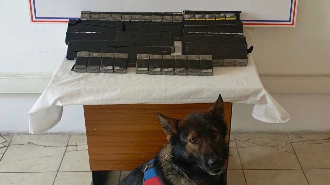 Ağrı'nın Diyadin ilçesinde 180 paket kaçak sigara yakalandı