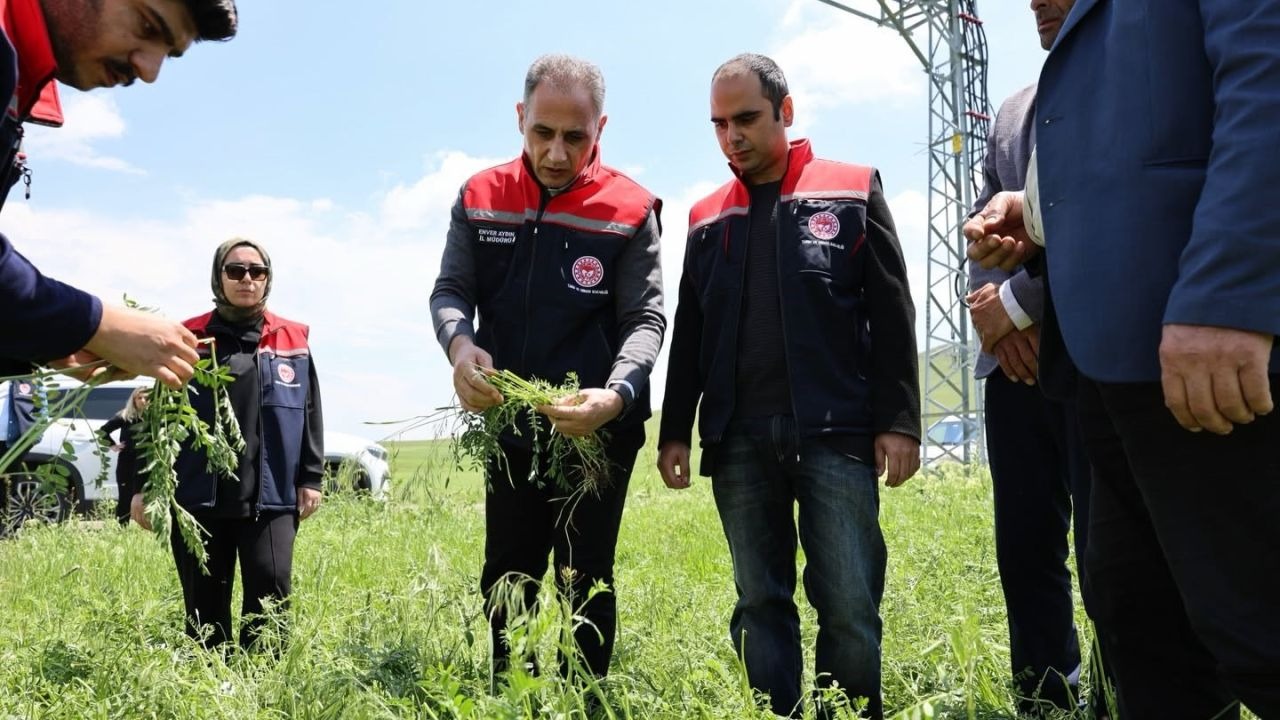 Akyaka’da dolu yağışı tarım arazilerini vurdu: Hasar tespit çalışmaları sürüyor
