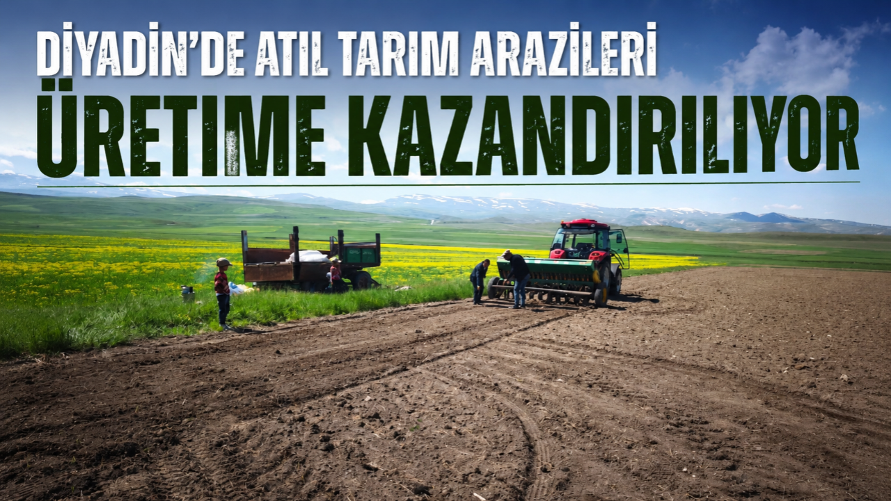 Diyadin’de atıl tarım arazileri üretime kazandırılıyor