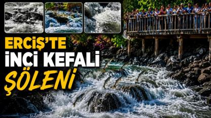 Erciş Balık Bendi'nde Doğanın Muhteşem Yolculuğu