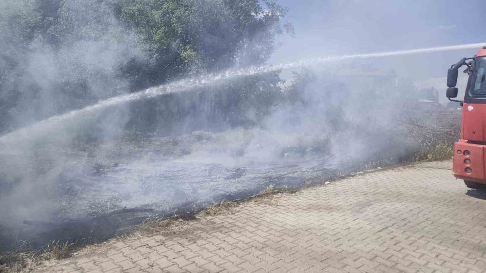 Erciş’te kavak polenleri ot yangınlarınayol açtı