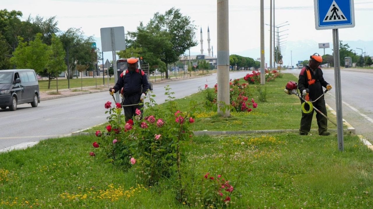 Erzincan Belediyesi ekipleri yeşil alanlarda bakım çalışmaları sürdürüyor
